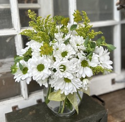 Daisy Love from Eagle Grove Greenhouse in O'Neill, NE