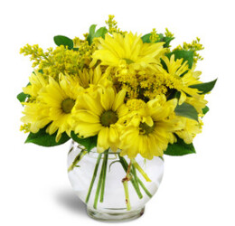 Yellow Daisy Bouquet from Eagle Grove Greenhouse in O'Neill, NE