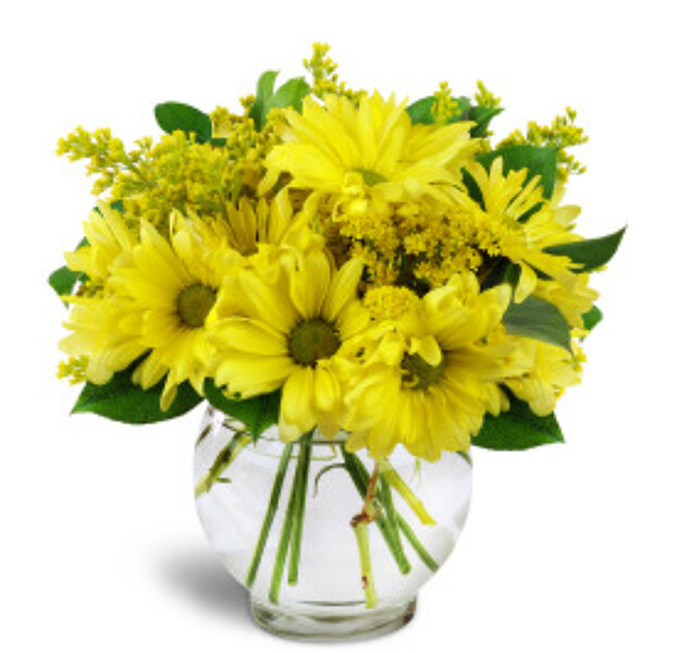 Yellow Daisy Bouquet